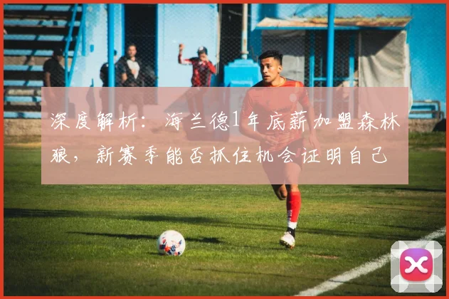 深度解析:海兰德1年底薪加盟森林狼,新赛季能否抓住机会证明自己?