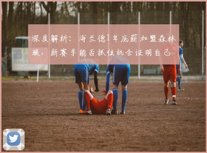 深度解析:海兰德1年底薪加盟森林狼,新赛季能否抓住机会证明自己?