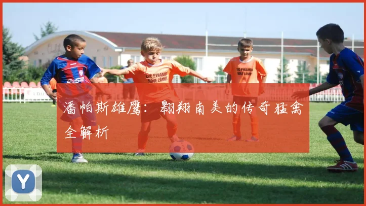 潘帕斯雄鹰:翱翔南美的传奇猛禽全解析