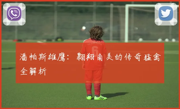 潘帕斯雄鹰:翱翔南美的传奇猛禽全解析